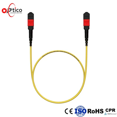 12F AR Coated MPO MTP Trunk Cable