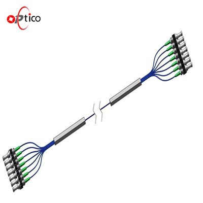 4C MCF Multicore Fiber Single Fanouts