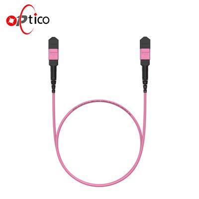 12F MTP 10G OM4 Backbone Patchcord Plenum 2m