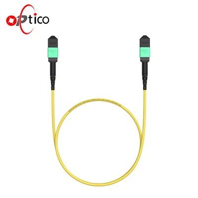 24F MPO-MPO Male Trunk Cable OS2