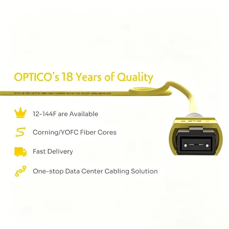 24 MPO To 2x12 MPO Fiber Patch Cord OS2 high quality 24 MPO To 2x12 MPO Fiber Patch Cord OS2 high quality